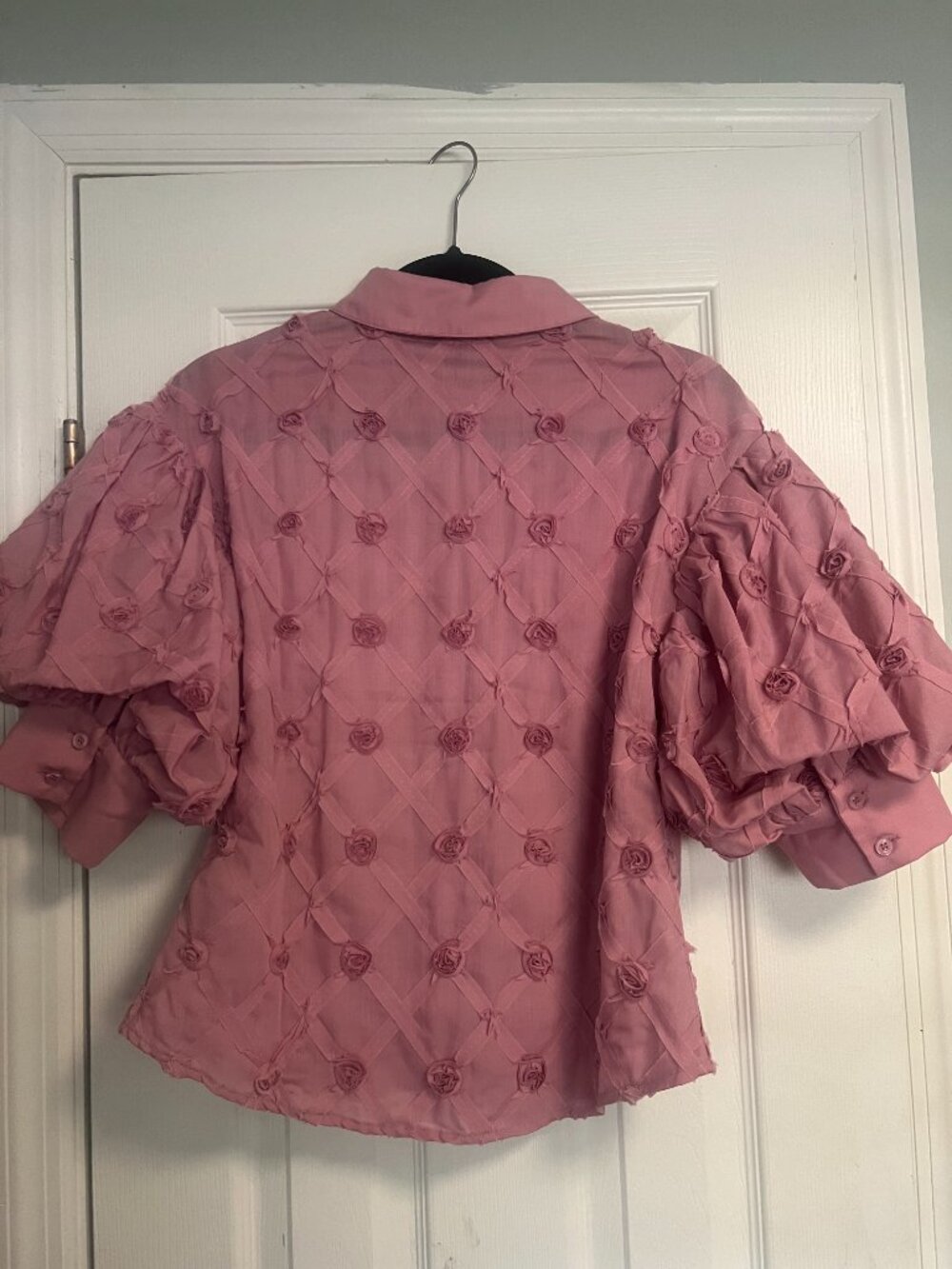 Gracia Puff Sleeve Button-Down Collared Solid Top - Picture 5 of 9